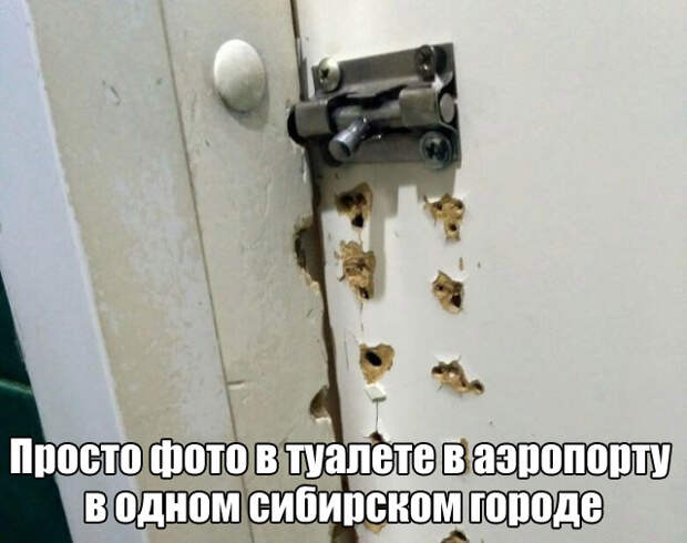 Подборка картинок. Вечерний выпуск (50 фото)