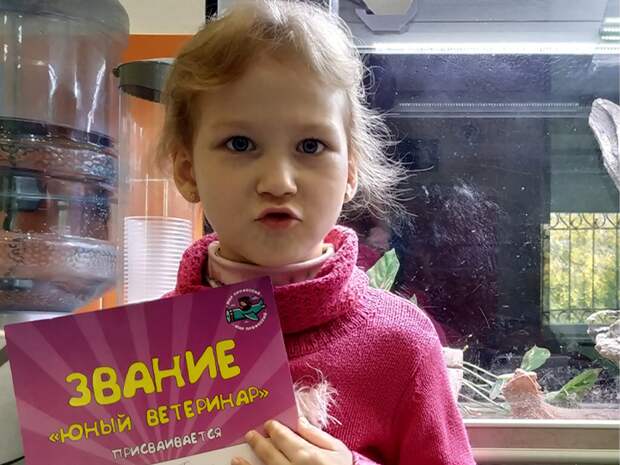 Ребенок просит домашнее животное? Лайфхак: как отказать без обид и слез