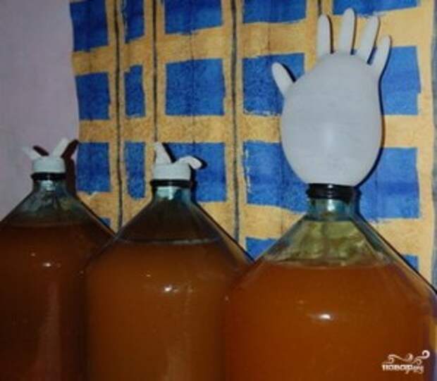 Рецепт приготовления брагу из яблок