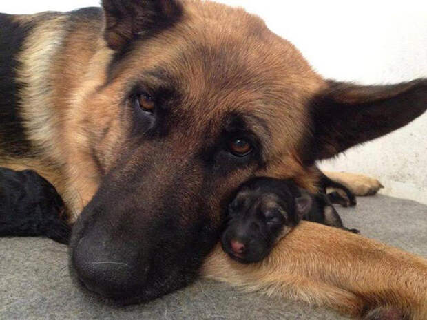 Мама с малышом