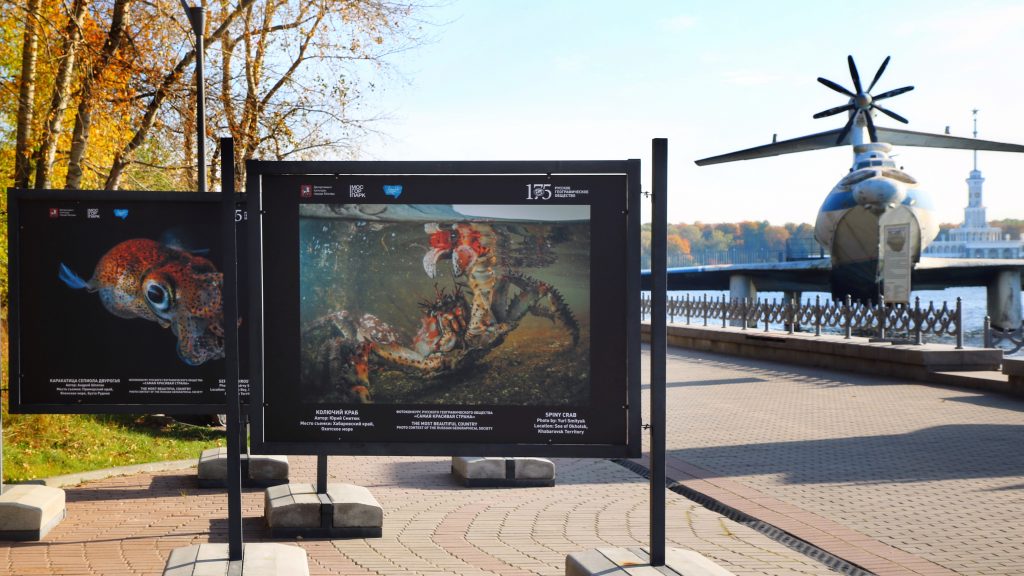 Выставка под открытым небом в парке «Северное Тушино» продлится до 15 ноября