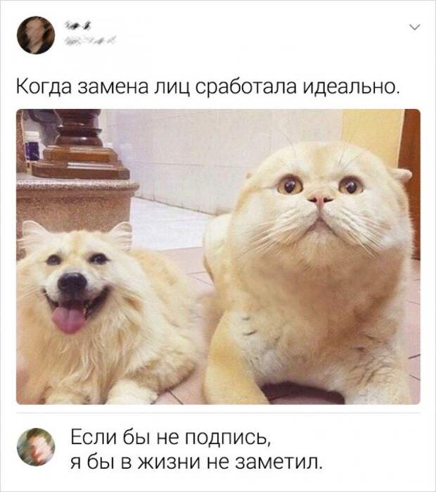 www.vsyako.net