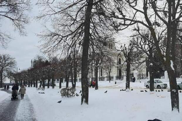 В выходные в Тамбове ожидается до +10 градусов