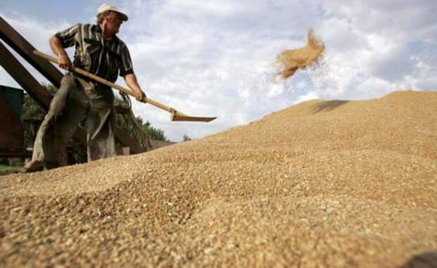 Россия будет поставлять зерно в Китай