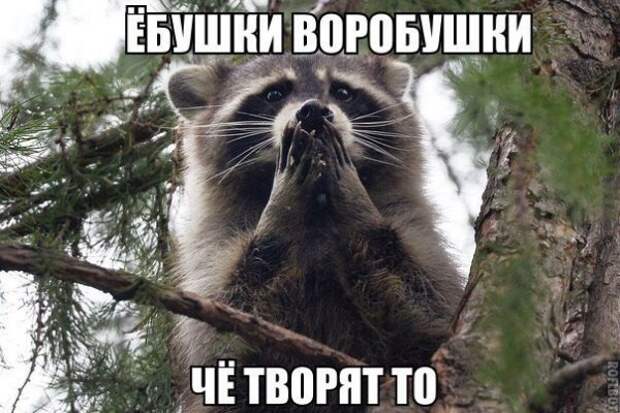 Позитивный пост+68