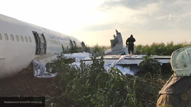 Рогозин пригласил экипаж аварийно севшего в кукурузном поле лайнера на Байконур 