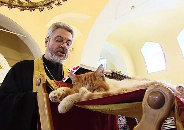 Кошки – единственные животные, которым разрешено находиться в православном храме / Фото: joyreactor.cc