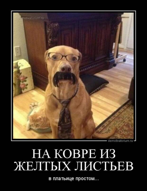 Новый сборник демотиваторов (15 шт)