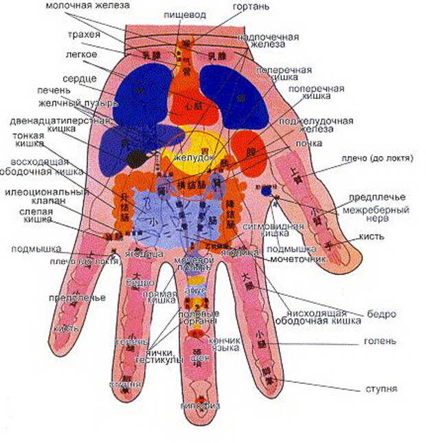 Акупунктура ладони схема