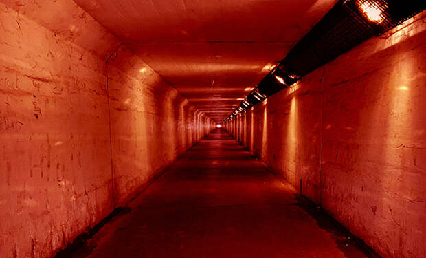 Источник фото: Unsplash