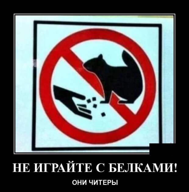 Демотиваторы (30 фото)