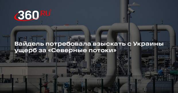 Вайдель потребовала взыскать с Украины ущерб за «Северные потоки»