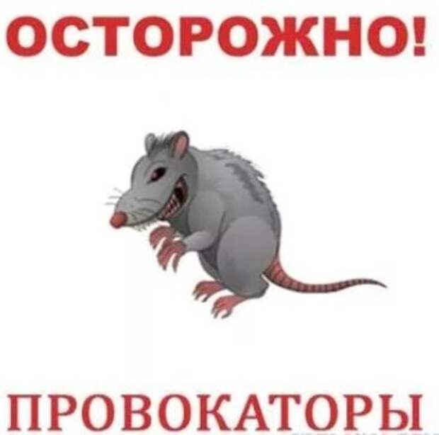 бесплатная картинка из свободных источников