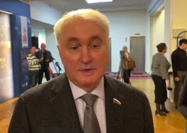 Картаполов: в Киеве не осознают, что происходит на земле Картаполов: в Киеве не осознают, что происходит на земле