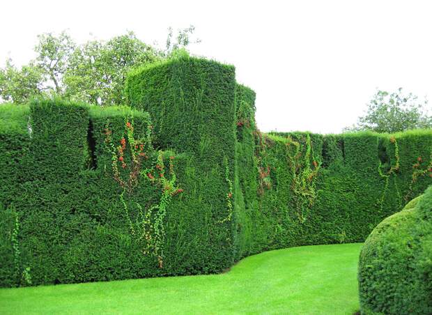 levenshall 33 Сад Левенс Холл