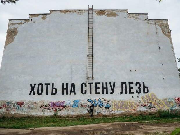 kartinok-prikolnyh-podborka-kartinki-smeshnye-kartinki-fotoprikoly