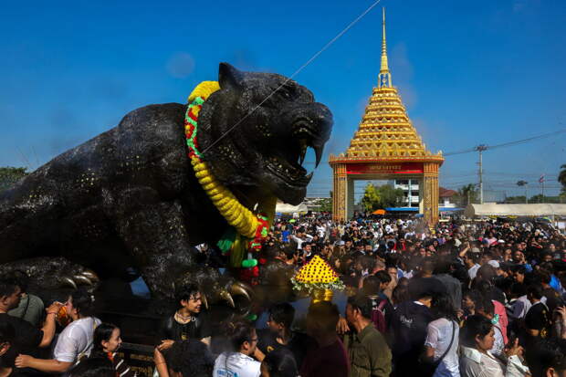 Мошенница из Таиланда обманула 30 россиян на миллионы рублей