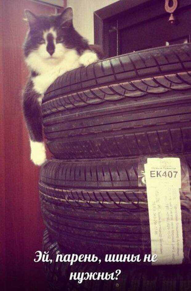 16. 16. авто, автоприколы, приколы