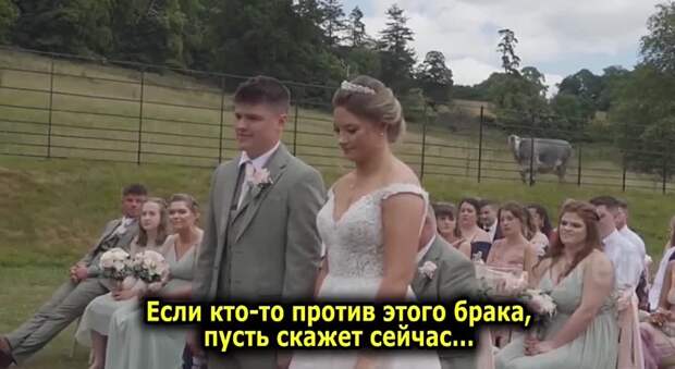 Video: Видео от Донецкая группа новостей|Донецк.ДНР