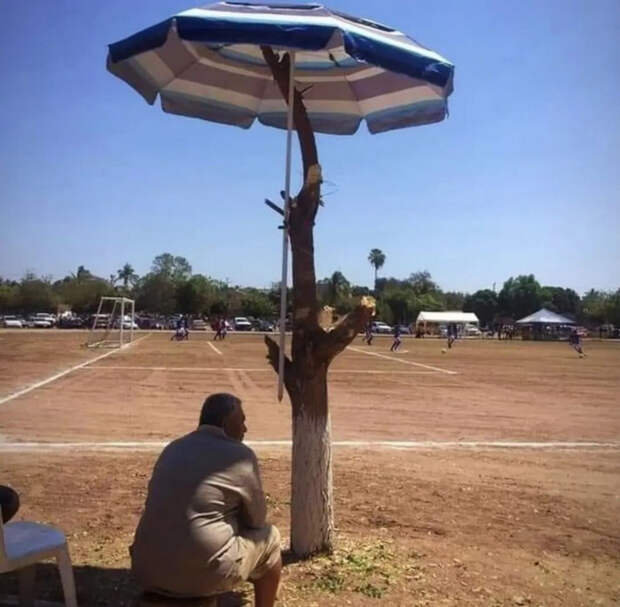 78105714_original (700x686, 355Kb)