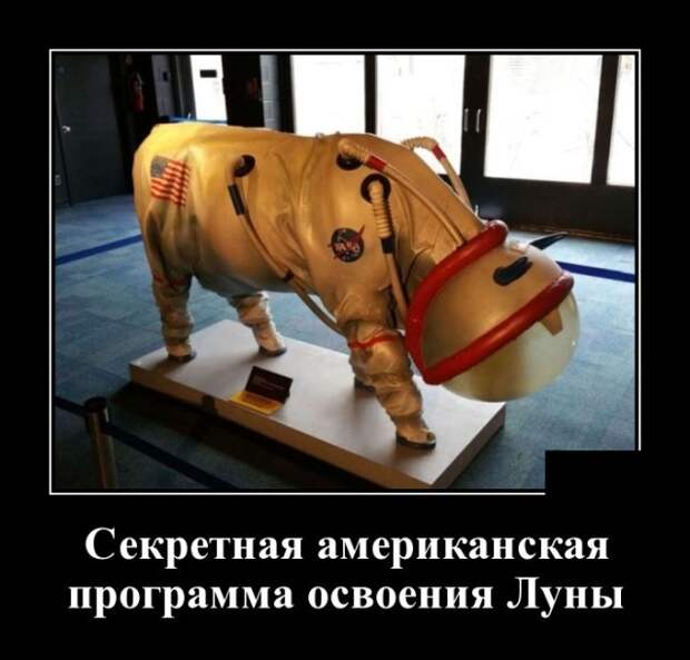 Самые новые демотиваторы (30 фото)