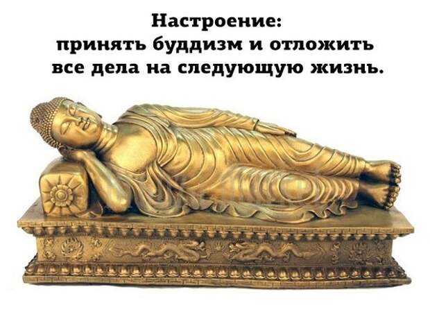 Подборка прикольных картинок (23 фото)