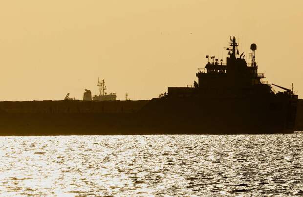 Израиль объяснил отказ принять российское судно с зерном