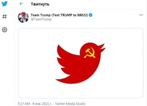 Птичку жалко...