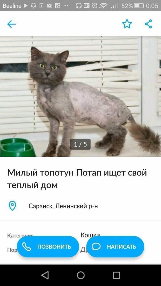 Юмористы и их объявления с Авито Юмористы и их объявления с Авито авито, авто, объявление, покупка, прикол, продажа, шутка, юмор