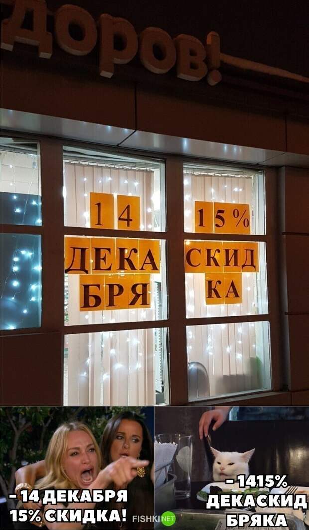 Котик всегда осуждает