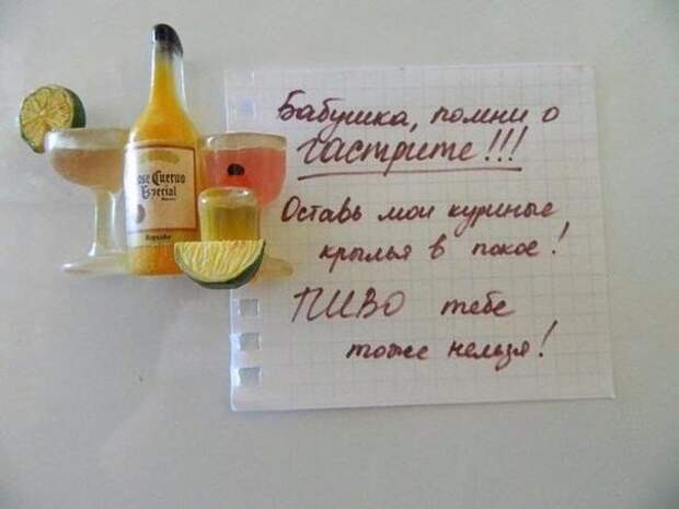 Самые смешные и неожиданные записки на холодильнике Самые смешные и неожиданные записки на холодильнике