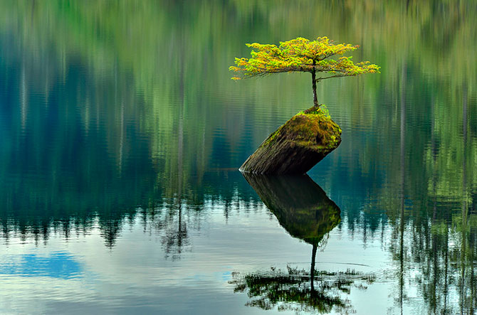 60 лучших фотографий года по версии журнала TwistedSifter