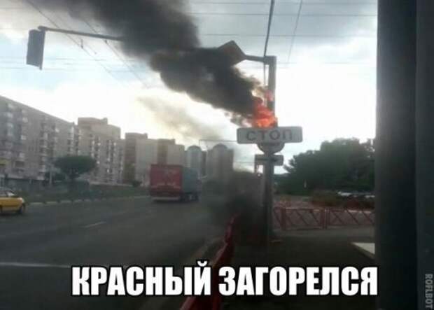 Новые АВТОприколы (35 фото)