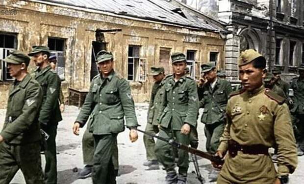 Британский историк выставил советских солдат «пожирателями» породистых скакунов