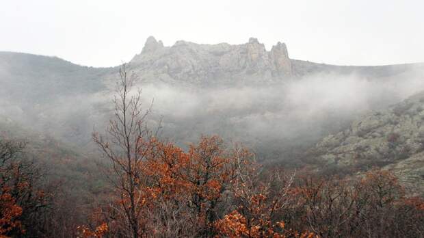 Погода на 10 января 2021 года в Крыму и Севастополе: воздух прогреется до плюс 12 градусов