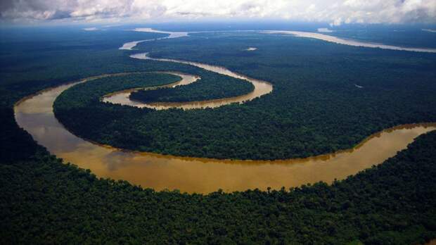 Дикая природа Амазонки амазонка, животные, интересное, природа