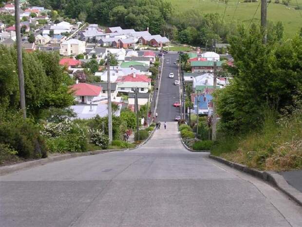 Baldwin Street - самая крутая улица в мире (16) Baldwin Street - самая крутая улица в мире