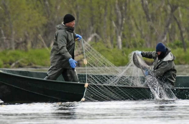 Браконьеры оштрафованы за незаконную рыбалку