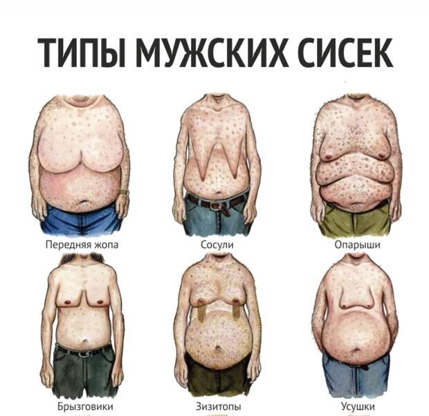 msis_01