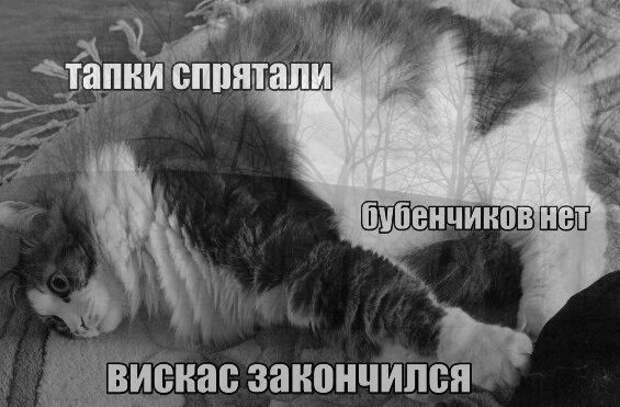 Ну очень смешной черный юмор в картинках! Ну очень смешной черный юмор в картинках!