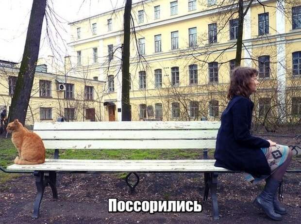 Подборка прикольных картинок (23 фото)