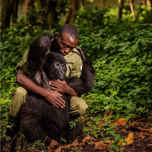 10 самых неповторимых фотографий 2019 года по версии National Geographic