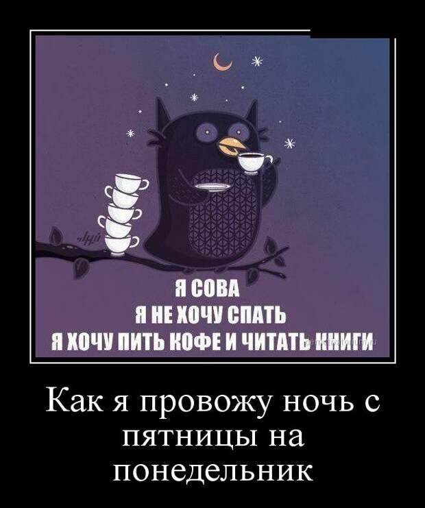 Демотиваторы (30 фото) Демотиваторы (30 фото)