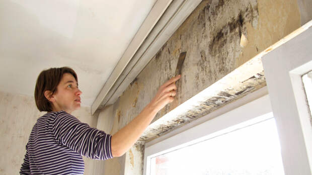 Скрытая угроза: чем опасна черная плесень