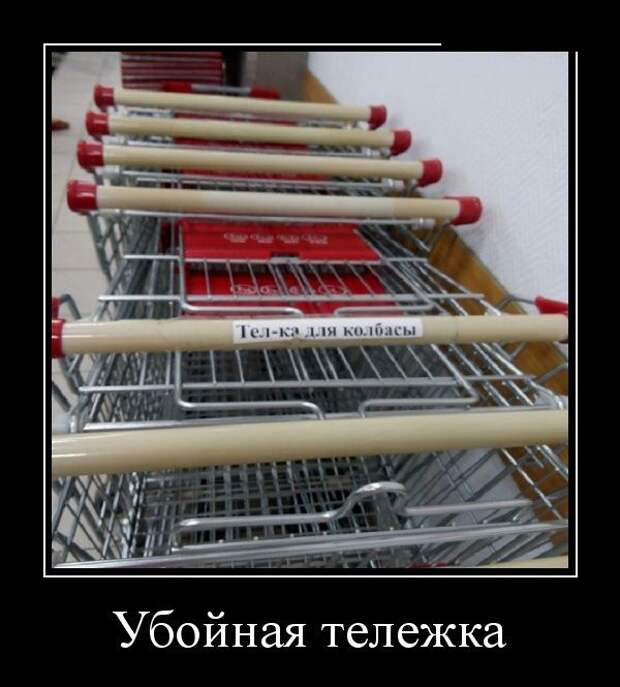 Демотиваторы (30 фото)