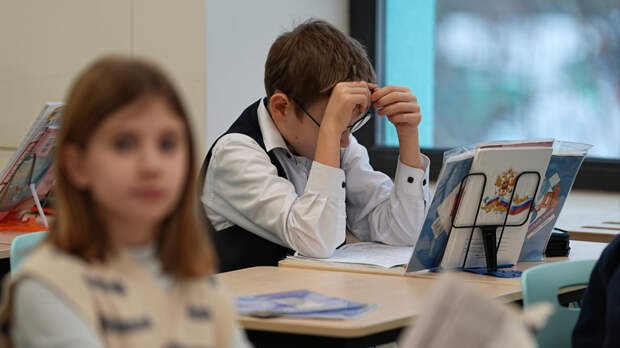 Учиться и еще раз учиться: Кравцов назвал оптимальный срок обучения в школе
