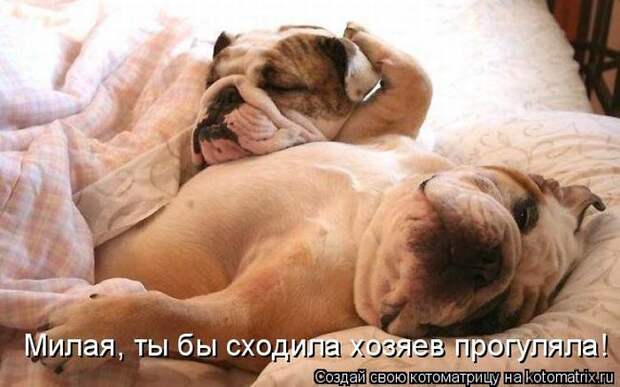 Мысли вслух :)