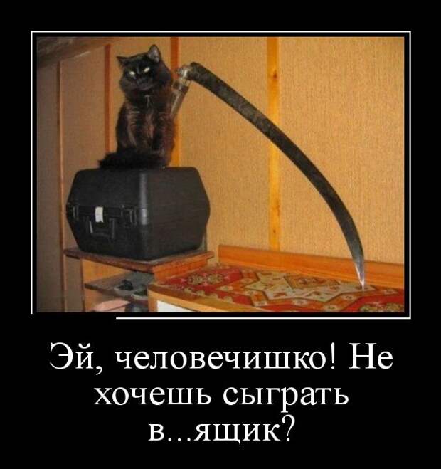 Демотиваторы (30 фото)