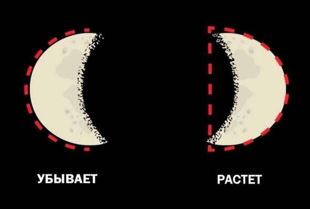 Сколько из них вы запомнили в детстве?