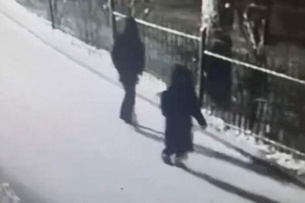 ЛизаАлерт: в Красноярске пропавшего мальчика ищут 30 добровольцев